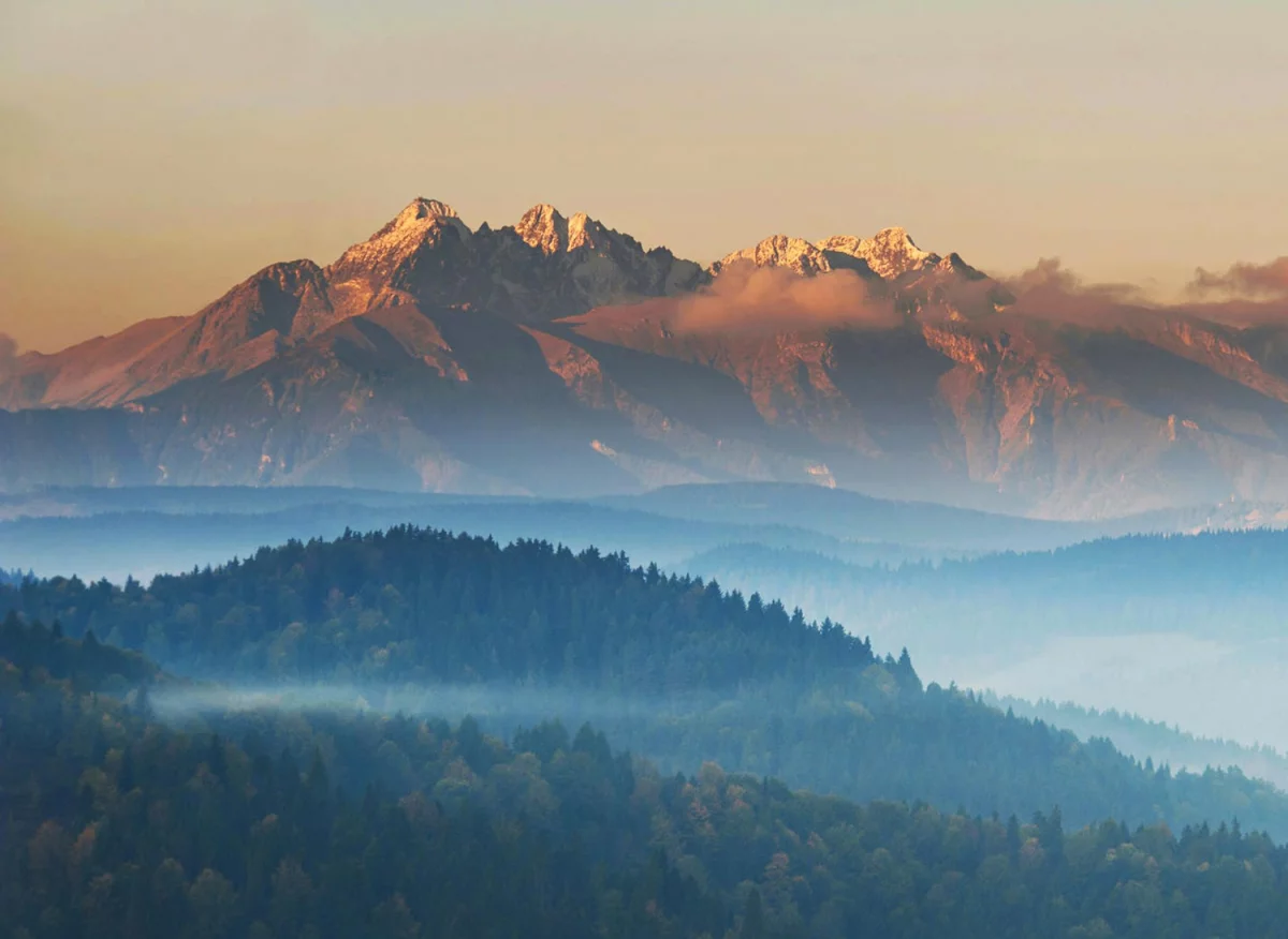 W 2024 można dobrze  szkolić się ale czy za za 10 lat też?
